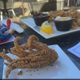 Calamari