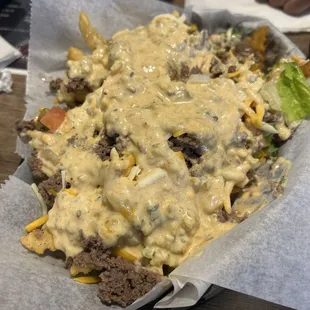 Loaded burger fries