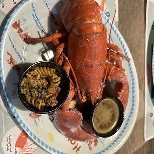 oysters and mussels, shellfish, oysters, food, mussels