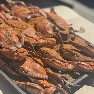Dozen large male crabs