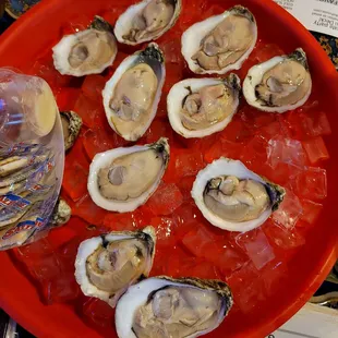 Dozen Oysters - $17.95