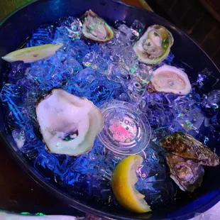 Howard's oysters... He ate some before I could, get this photo.