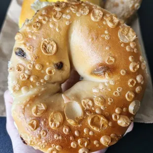 Chocolate chip bagel