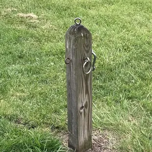 Hitching post for dogs by outside picnic tables.