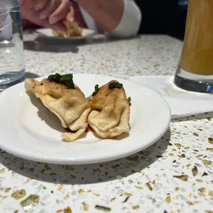 Fried pork dumplings