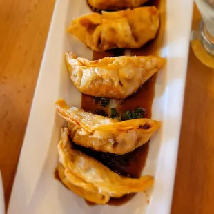 Fried Dumplings