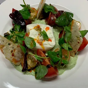 Tomato Burrata