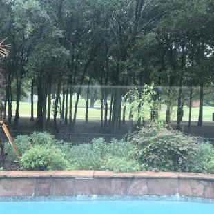 It is a rainy day and sprinkler system is running ...way to conserve water in Texas SCR!!