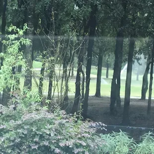 It’s raining..it’s pouring old SCR sprinklers are flowing!