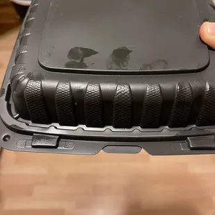 Sealed container that contained a cockroach when opened!