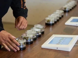 Nuwu Cannabis Marketplace