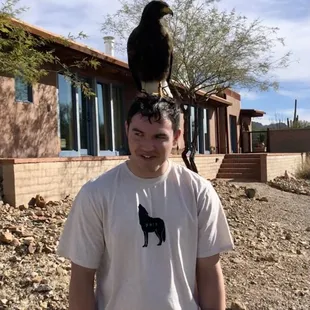 The hawk liked this boy