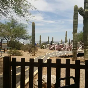 A great view with the good food