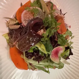 Garden of " Butter Lettuce & Castelfranco