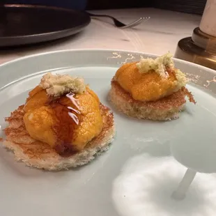 Sea Urchin