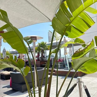 Outdoor seating area by the pool