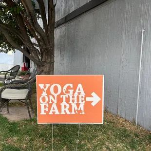 Horse yoga is not about touching your toes. It is about what you learn on the way down.