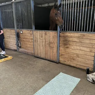 Horse yoga is definitely something you should do more of that makes you feel good mentally.