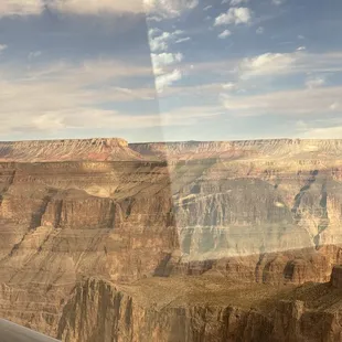 The view