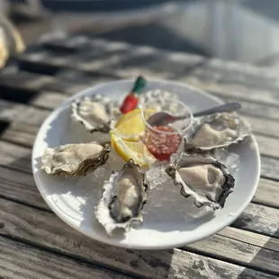 Oysters