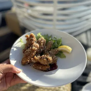 Chicken Sweet Soy Pepper Wings