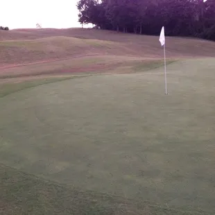 Greens are coming back