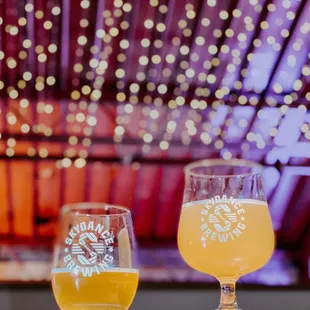 Cider &amp; Wheat Beer