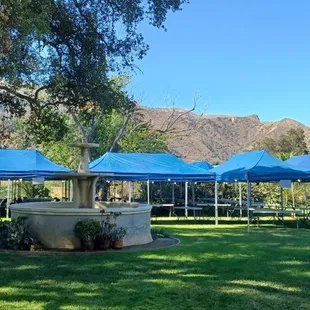 Hosting a party in the park? Need equipment? Need someone to set it up? We're here to help!