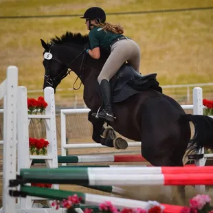 Skylark Equestrian