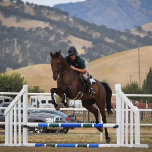 Jumper schooling show