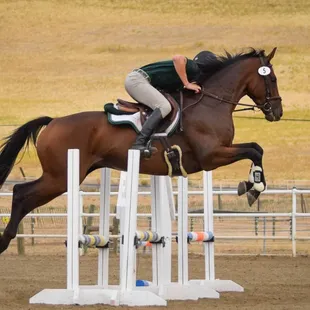 Jumper schooling show