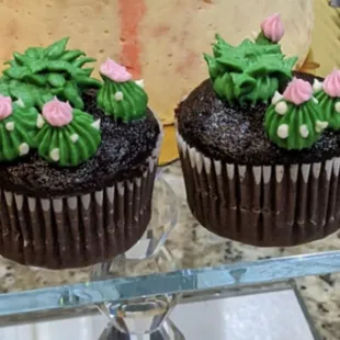 Chocolate cactus cupcakes