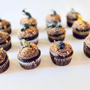 Cupcakes for birthday party