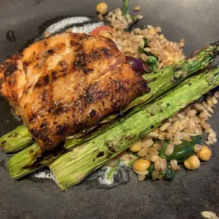 Salmon