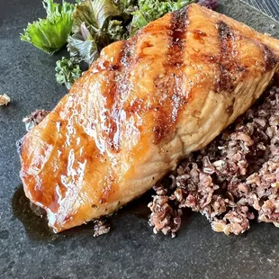 salmon