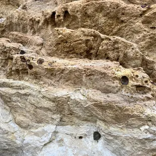 Rock face