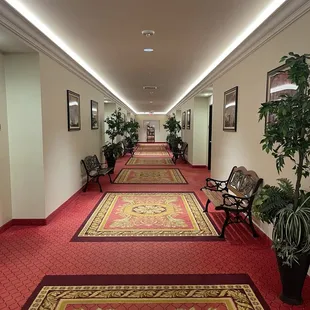 Beautiful hallways and so clean.