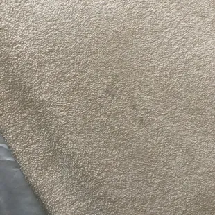 Blankets were stained