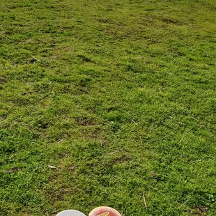 Skyline Park lower disc golf course