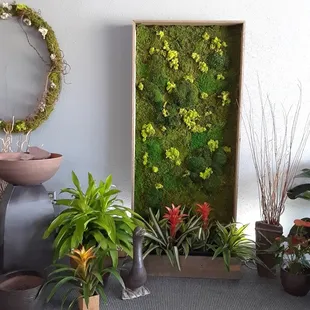 Decorating with plants