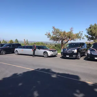 Skyway limo service