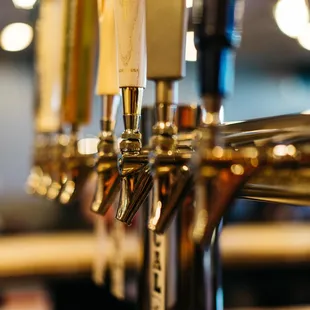 ramen and noodles, interior