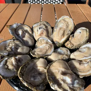 Oysters