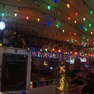 Lights year round