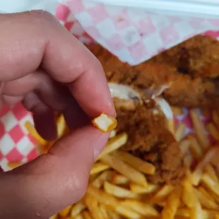 The fries are absolutely terrible