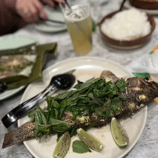 12022022 wild monterey rockfish