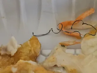 The Crispy Coop
