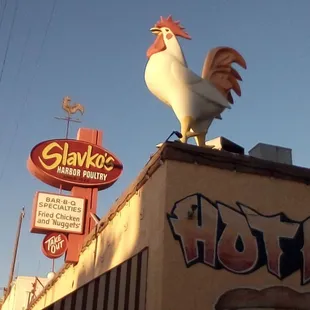 Slavko's Harbor Poultry San Pedro.