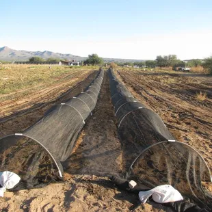 a view from the ground