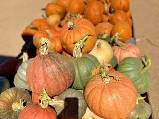 Apple Annie's Produce & Pumpkins